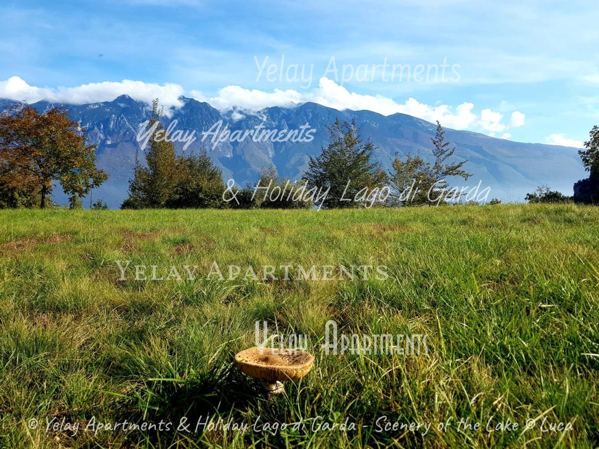 Yelay Apartments & Holiday Lago Di Garda Raffa Buitenkant foto